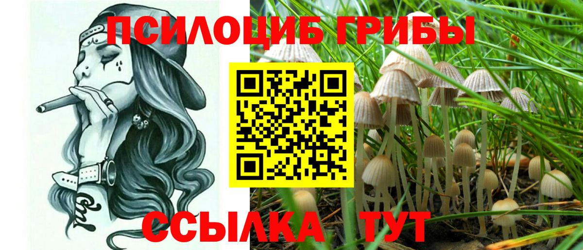 Галлюциногенные грибы Psilocybine cubensis  Вход с VPN  Чехов  Галлюциногенные грибы Psilocybe 
